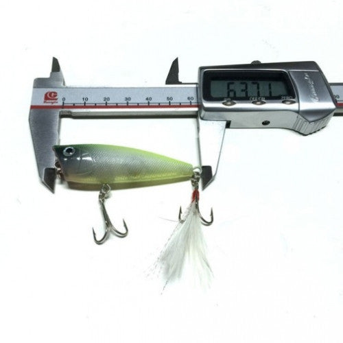 3D Eyes Popper Fishing Lure